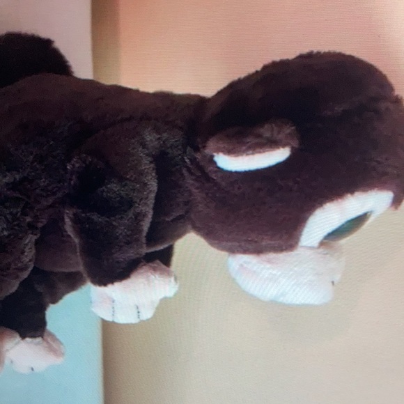 NWT Ty Beanie Bellies Matteo - Picture 5 of 5